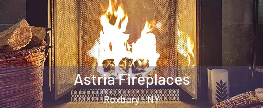 Astria Fireplaces Roxbury - NY