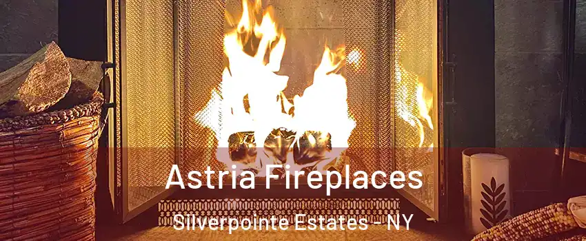 Astria Fireplaces Silverpointe Estates - NY