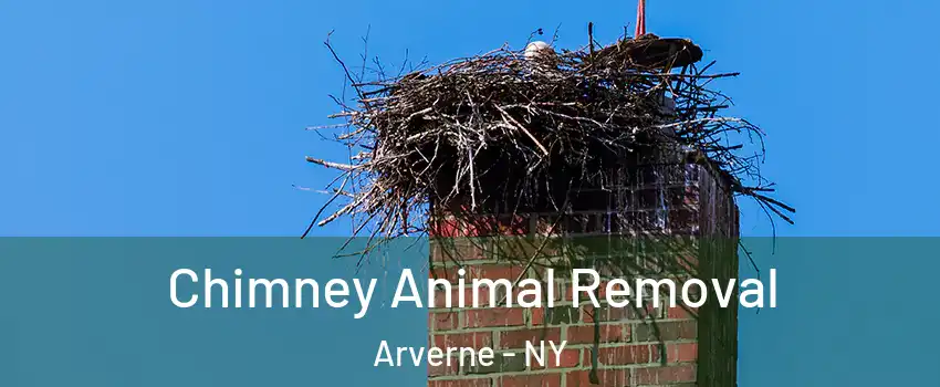 Chimney Animal Removal Arverne - NY