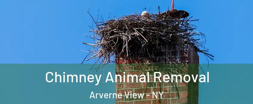Chimney Animal Removal Arverne View - NY