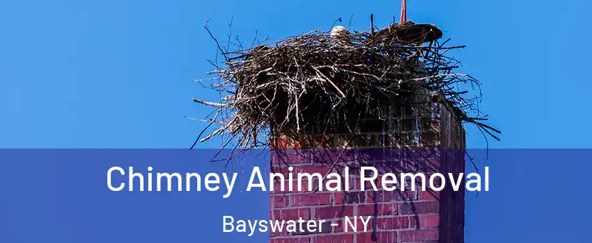 Chimney Animal Removal Bayswater - NY