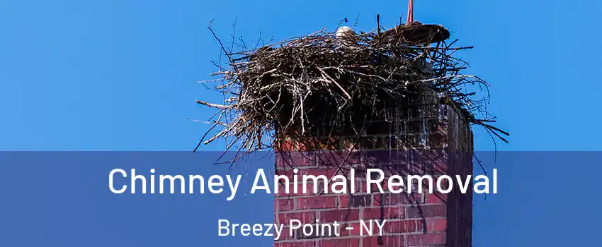 Chimney Animal Removal Breezy Point - NY