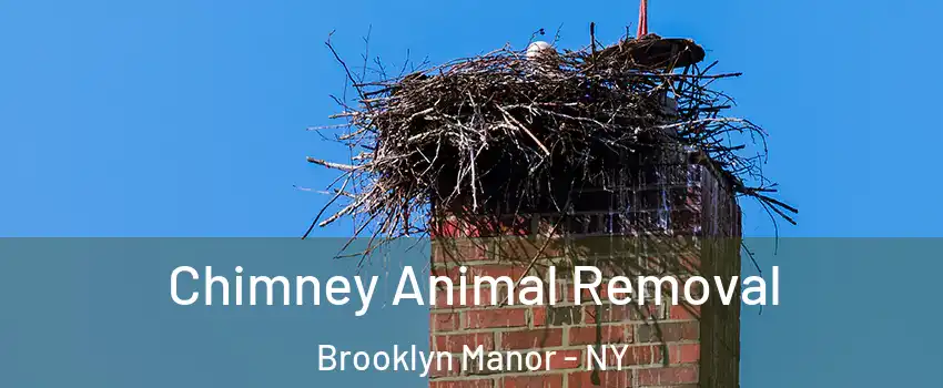 Chimney Animal Removal Brooklyn Manor - NY