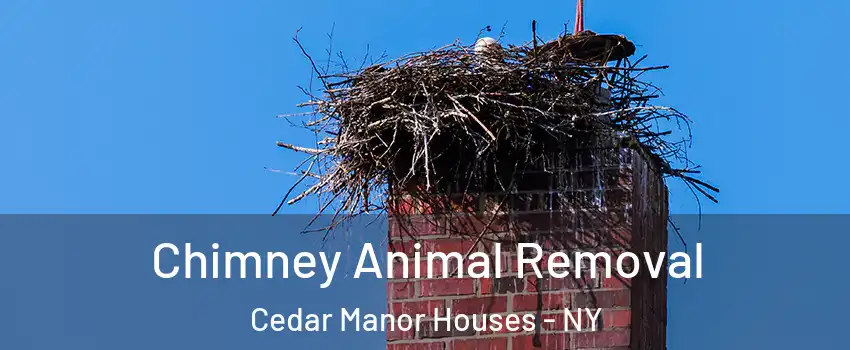 Chimney Animal Removal Cedar Manor Houses - NY