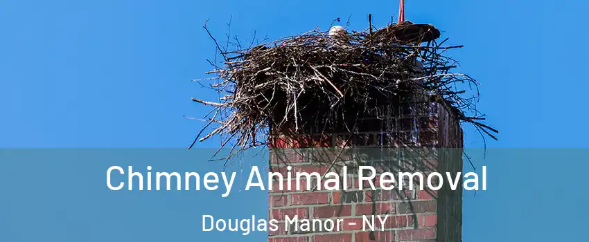 Chimney Animal Removal Douglas Manor - NY