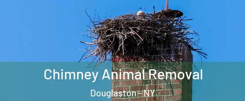 Chimney Animal Removal Douglaston - NY