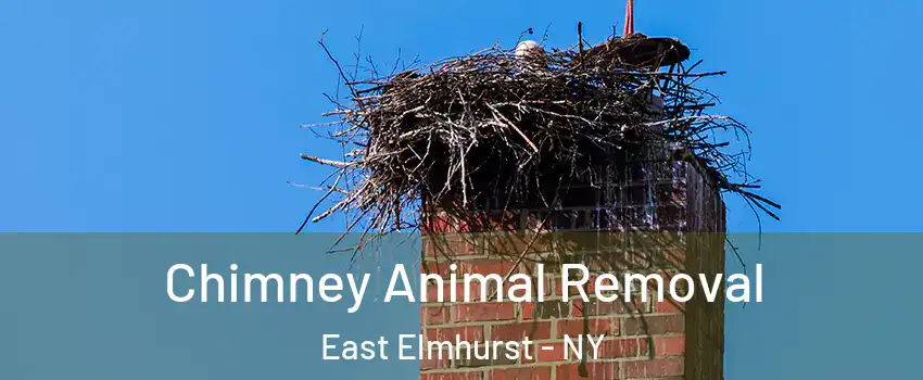 Chimney Animal Removal East Elmhurst - NY