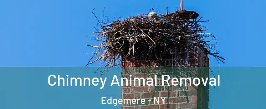 Chimney Animal Removal Edgemere - NY