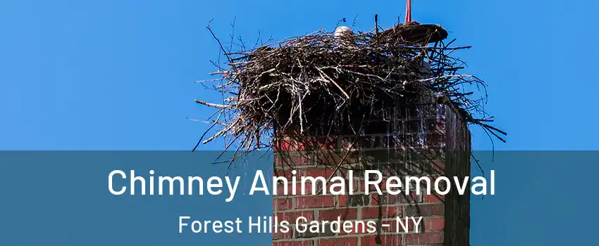 Chimney Animal Removal Forest Hills Gardens - NY