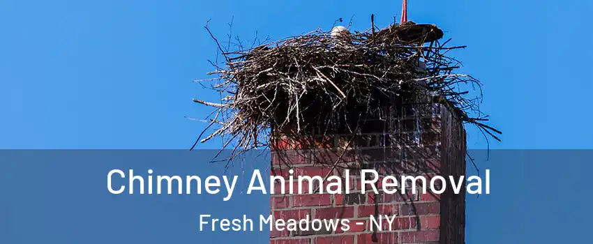 Chimney Animal Removal Fresh Meadows - NY