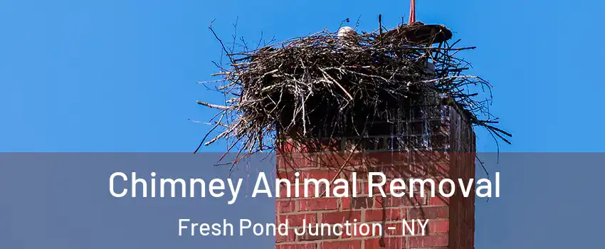 Chimney Animal Removal Fresh Pond Junction - NY