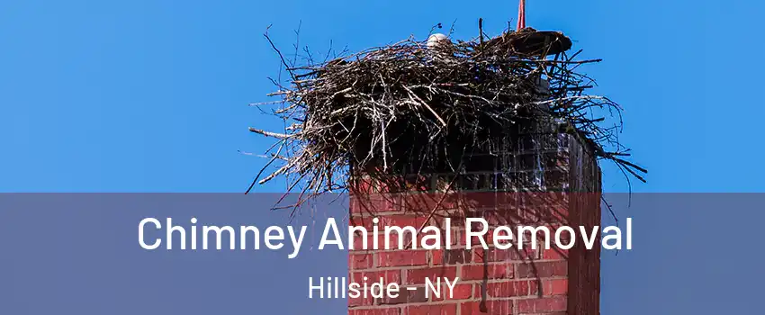 Chimney Animal Removal Hillside - NY