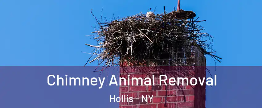 Chimney Animal Removal Hollis - NY