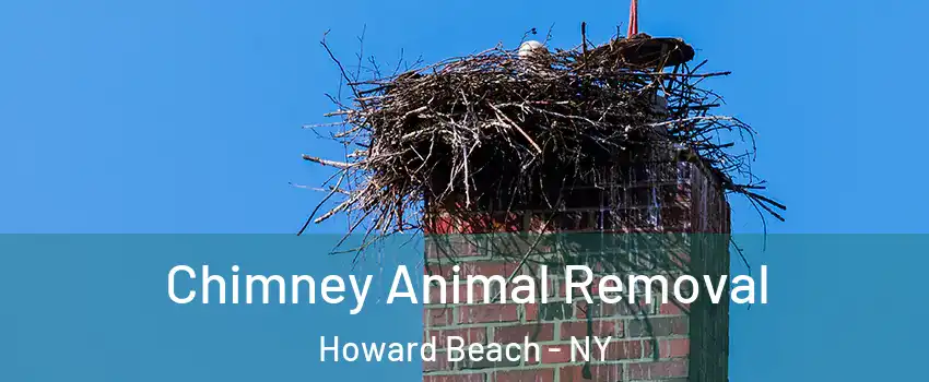 Chimney Animal Removal Howard Beach - NY