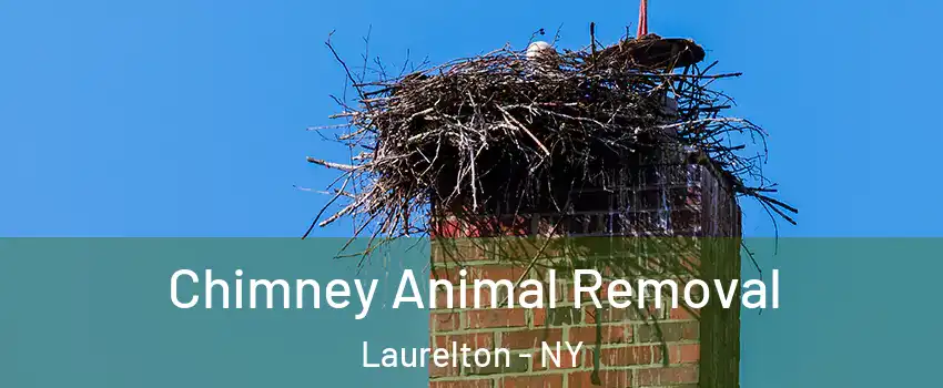 Chimney Animal Removal Laurelton - NY