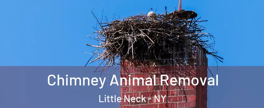 Chimney Animal Removal Little Neck - NY