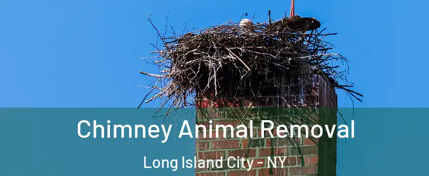 Chimney Animal Removal Long Island City - NY