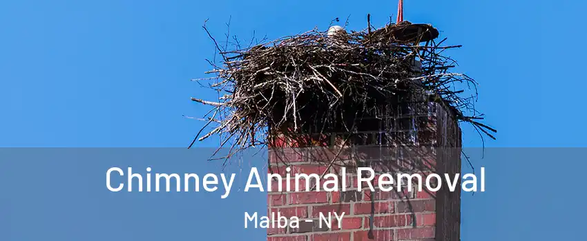 Chimney Animal Removal Malba - NY