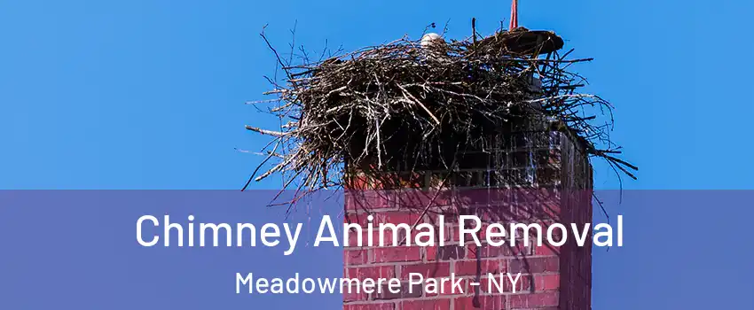 Chimney Animal Removal Meadowmere Park - NY