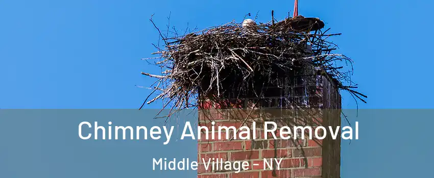 Chimney Animal Removal Middle Village - NY