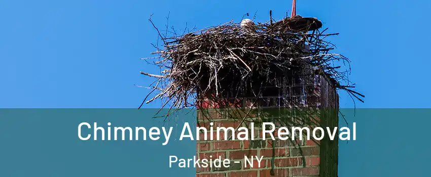Chimney Animal Removal Parkside - NY