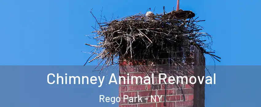 Chimney Animal Removal Rego Park - NY