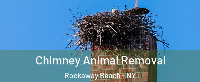 Chimney Animal Removal Rockaway Beach - NY