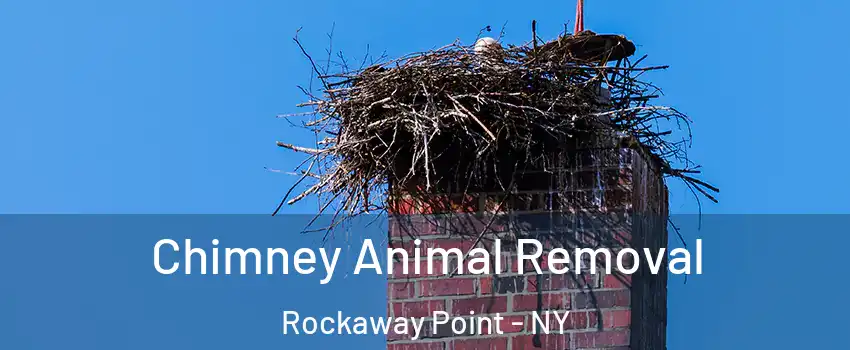 Chimney Animal Removal Rockaway Point - NY