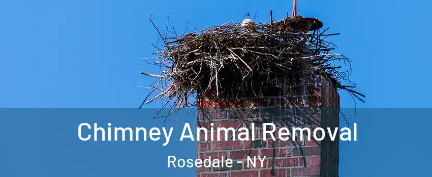 Chimney Animal Removal Rosedale - NY