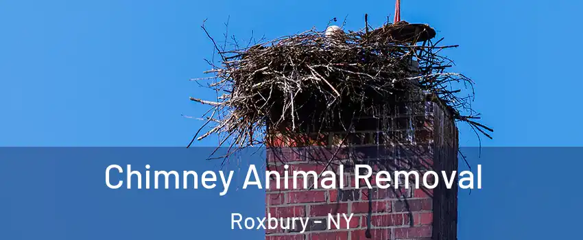 Chimney Animal Removal Roxbury - NY