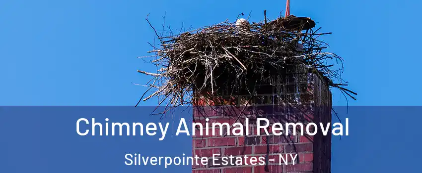 Chimney Animal Removal Silverpointe Estates - NY