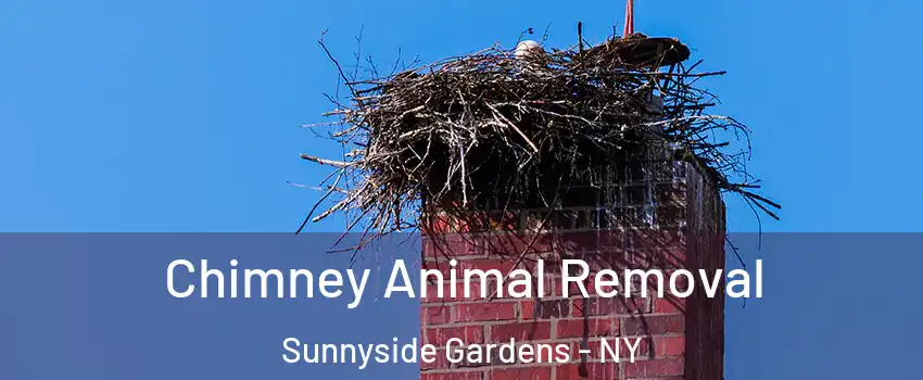 Chimney Animal Removal Sunnyside Gardens - NY