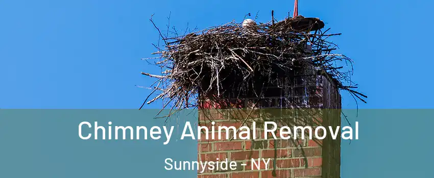 Chimney Animal Removal Sunnyside - NY
