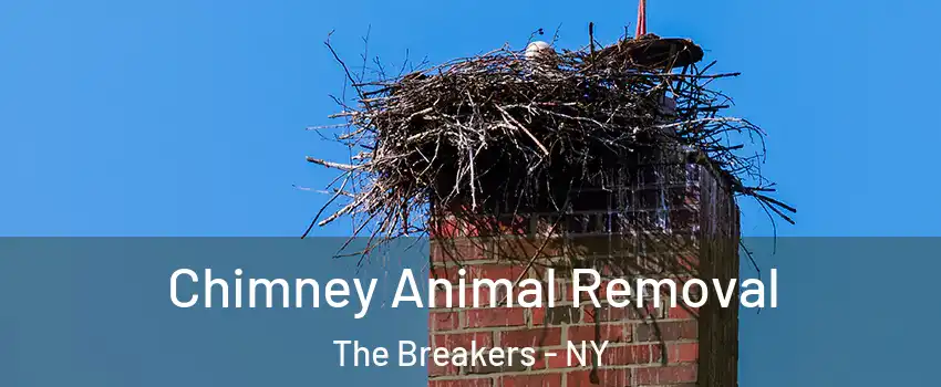 Chimney Animal Removal The Breakers - NY