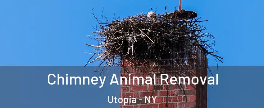 Chimney Animal Removal Utopia - NY