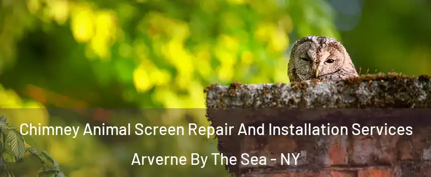 Chimney Animal Screen Repair And Installation Services Arverne By The Sea - NY