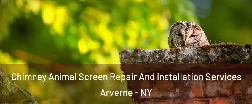 Chimney Animal Screen Repair And Installation Services Arverne - NY