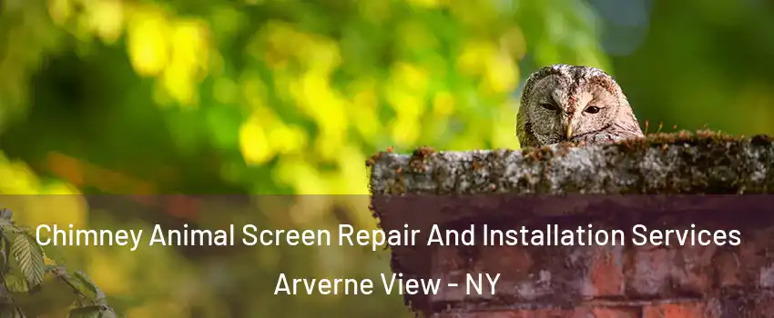 Chimney Animal Screen Repair And Installation Services Arverne View - NY