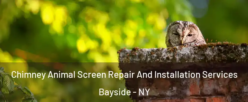 Chimney Animal Screen Repair And Installation Services Bayside - NY
