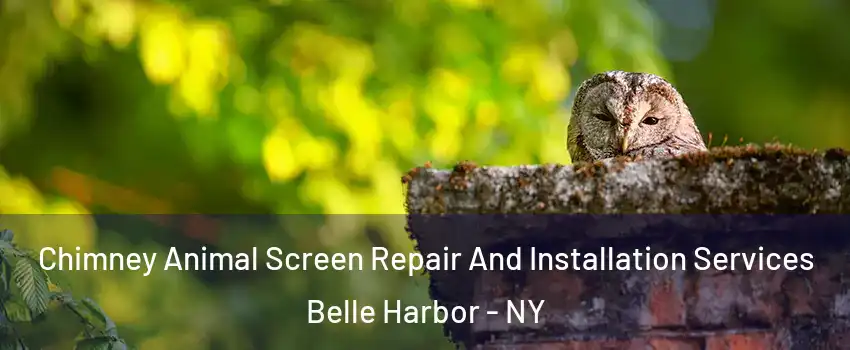 Chimney Animal Screen Repair And Installation Services Belle Harbor - NY