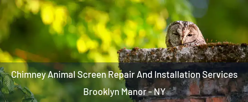 Chimney Animal Screen Repair And Installation Services Brooklyn Manor - NY