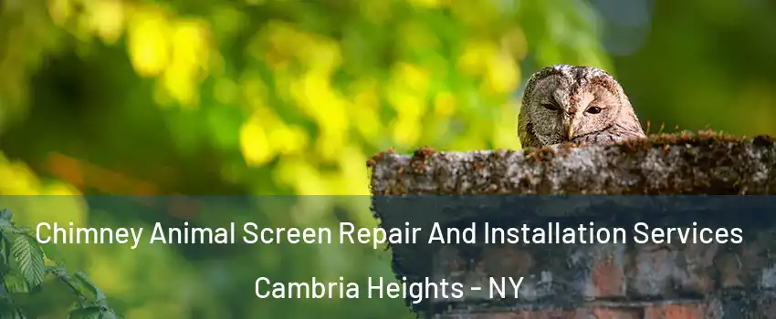 Chimney Animal Screen Repair And Installation Services Cambria Heights - NY