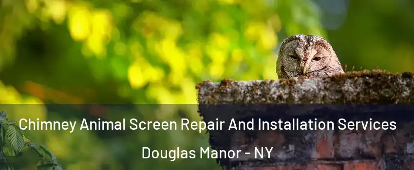 Chimney Animal Screen Repair And Installation Services Douglas Manor - NY