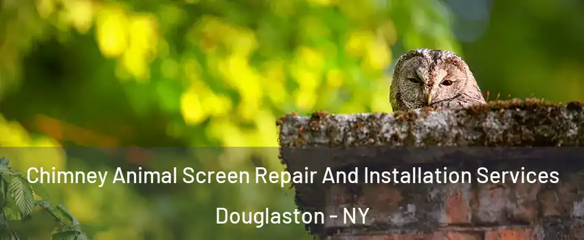 Chimney Animal Screen Repair And Installation Services Douglaston - NY