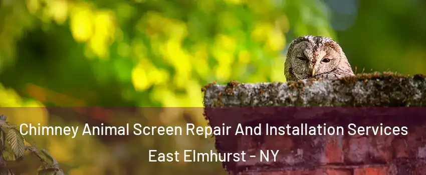 Chimney Animal Screen Repair And Installation Services East Elmhurst - NY