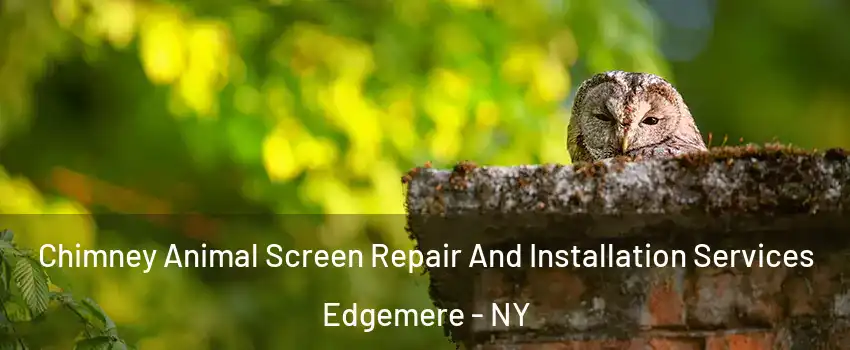 Chimney Animal Screen Repair And Installation Services Edgemere - NY