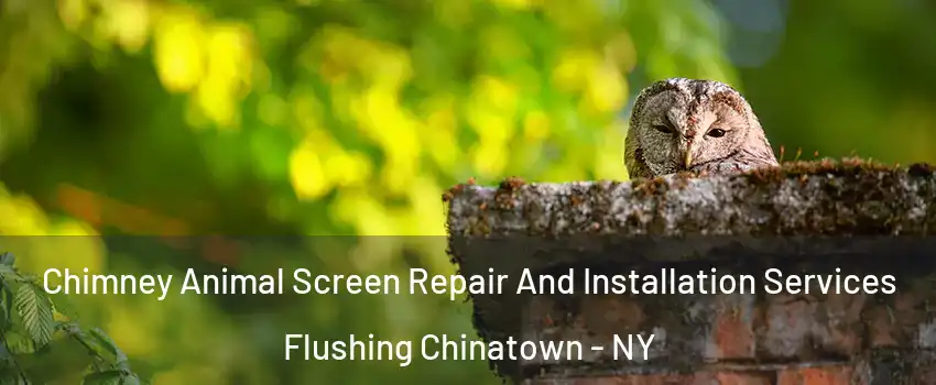 Chimney Animal Screen Repair And Installation Services Flushing Chinatown - NY