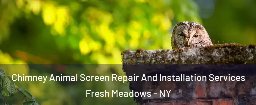 Chimney Animal Screen Repair And Installation Services Fresh Meadows - NY