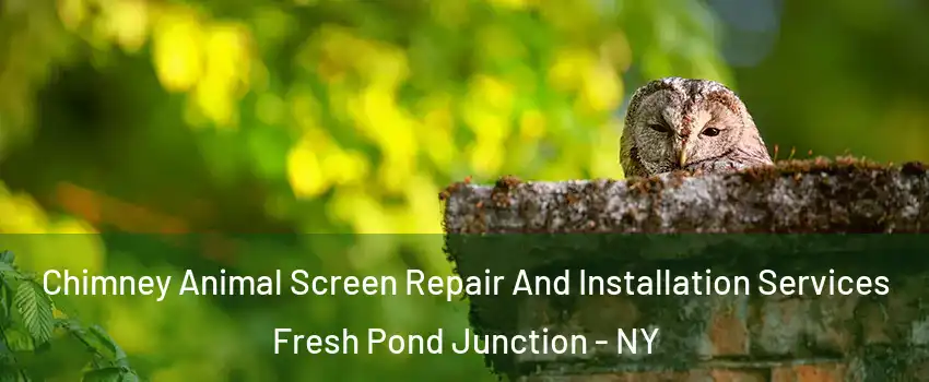 Chimney Animal Screen Repair And Installation Services Fresh Pond Junction - NY