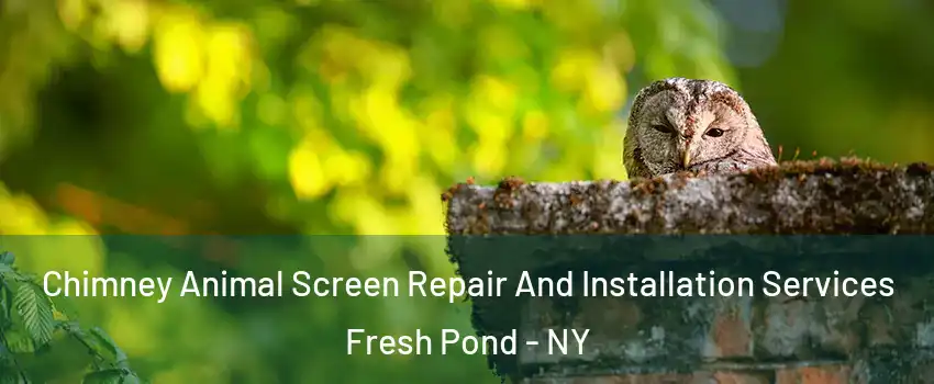 Chimney Animal Screen Repair And Installation Services Fresh Pond - NY